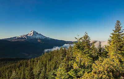 Main image linking to post titles: The Myth of Airport Proximity (and What Smart Planners Consider Instead)