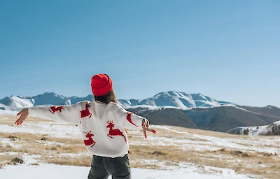 Main image linking to post titles: 5 Tips for Stress-Free Holiday Travel